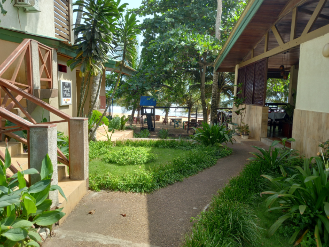 Vue sur la plage ombragée
